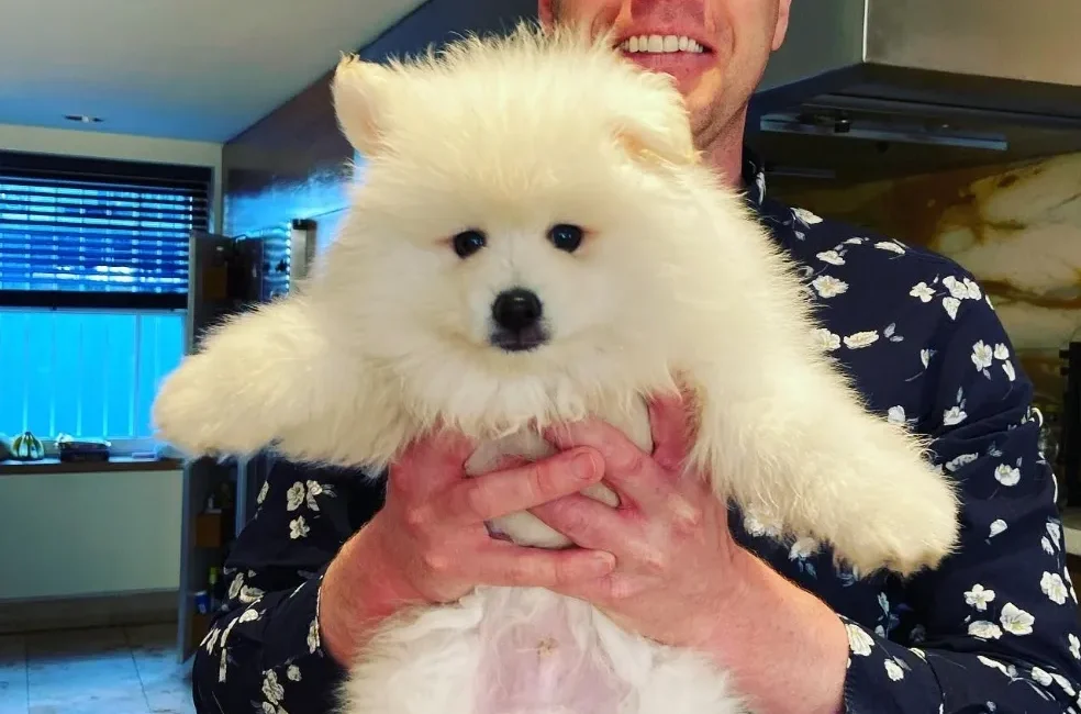 Has your pet got fleas?